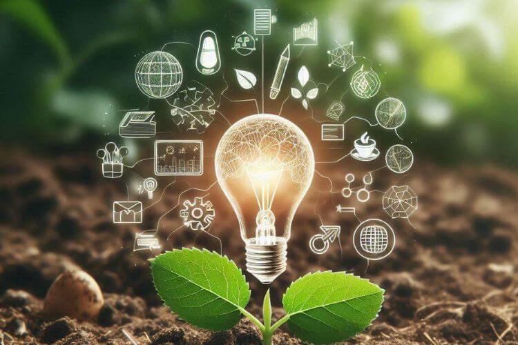 Bouling Hydrazine Hydrate